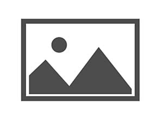 Uploaded image preview